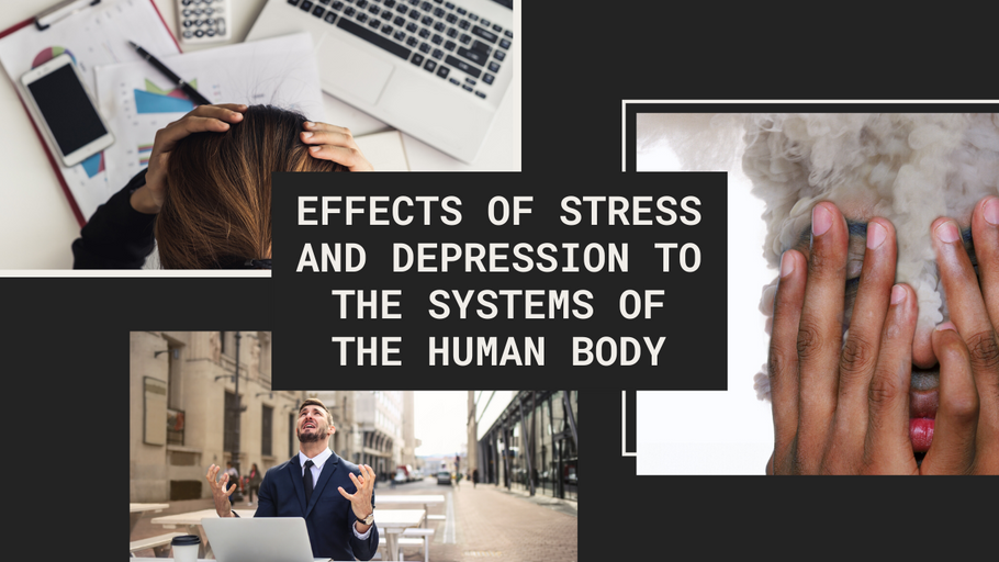 Effects of Stress and Depression to the Systems of the Human Body