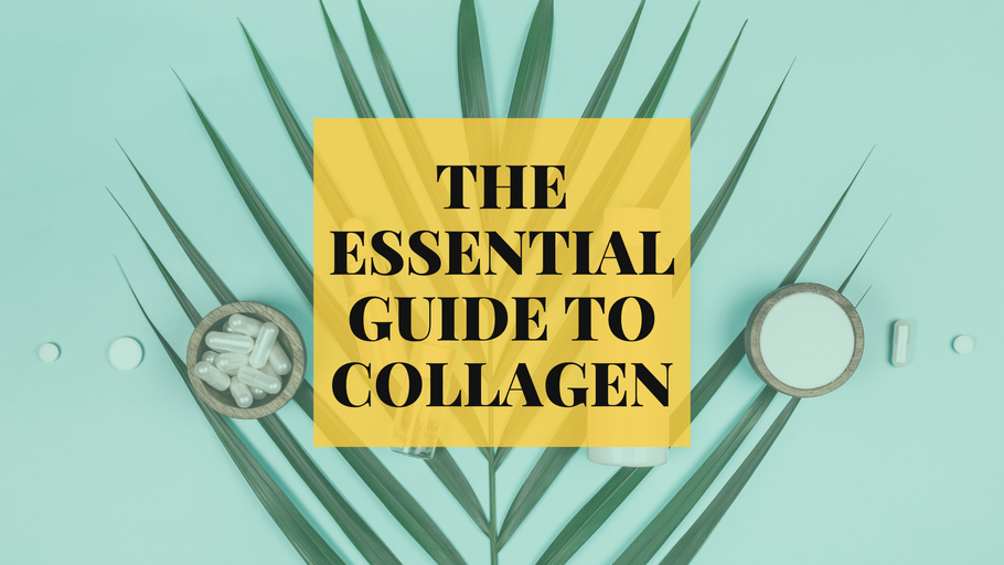 The Essential Guide to Collagen