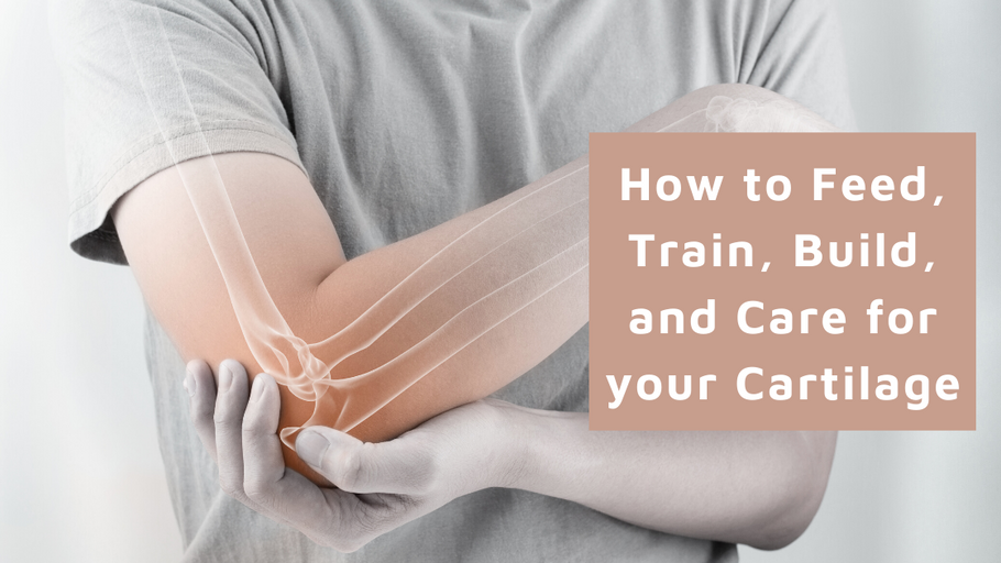 How to Feed, Train, Build, and Care for your Cartilage