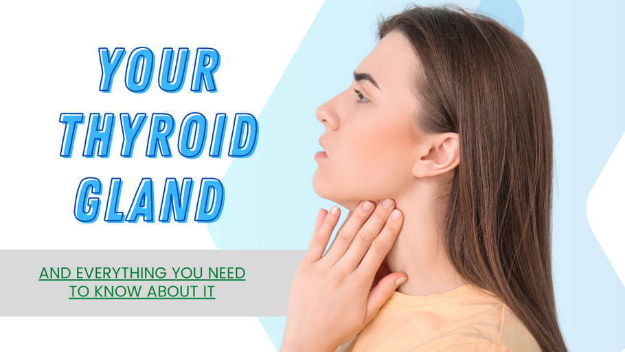 Your Thyroid Gland and Everything You Need To Know About It