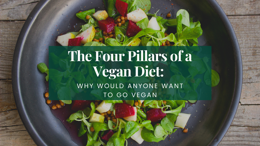The Four Pillars of a Vegan Diet: Why Would Anyone Want to Go Vegan