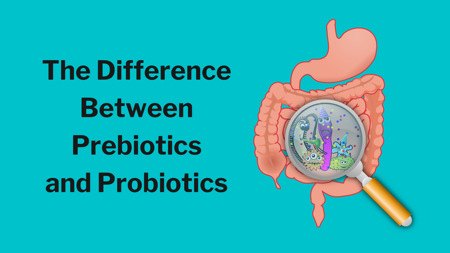 The Difference Between Prebiotics and Probiotics