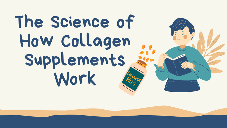 The Science of How Collagen Supplements Work