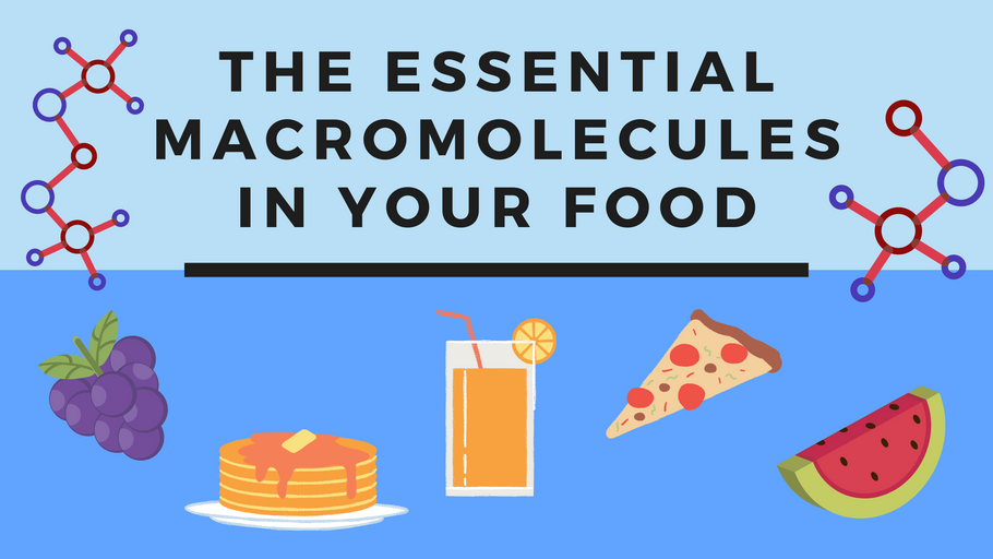 The Essential Macromolecules in your Food